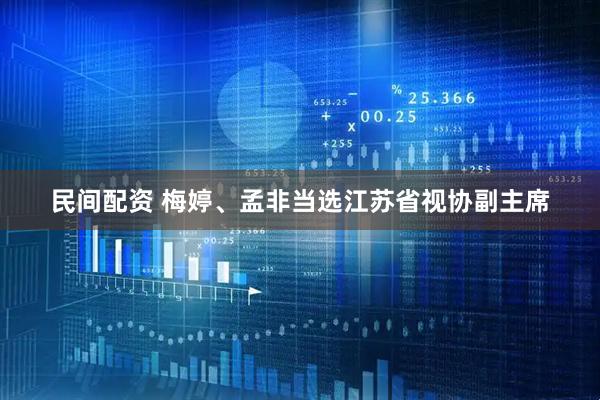 民间配资 梅婷、孟非当选江苏省视协副主席