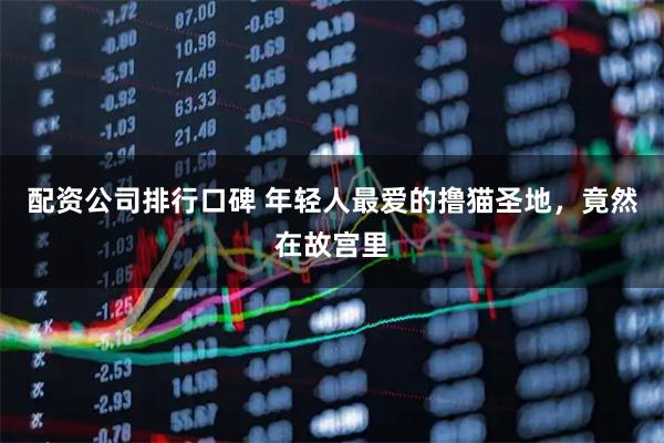 配资公司排行口碑 年轻人最爱的撸猫圣地，竟然在故宫里