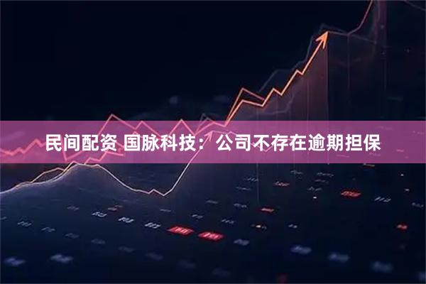 民间配资 国脉科技：公司不存在逾期担保
