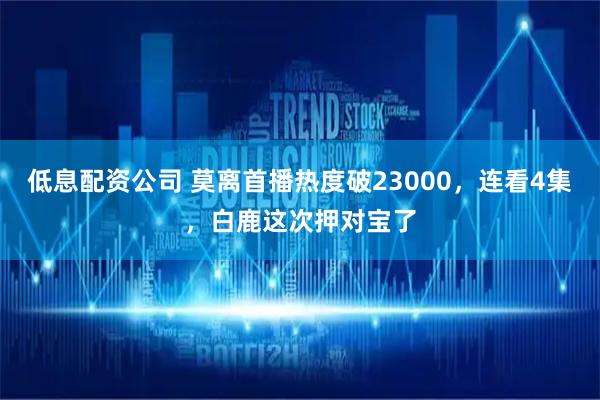 低息配资公司 莫离首播热度破23000,连看4集,白鹿这次押对宝了